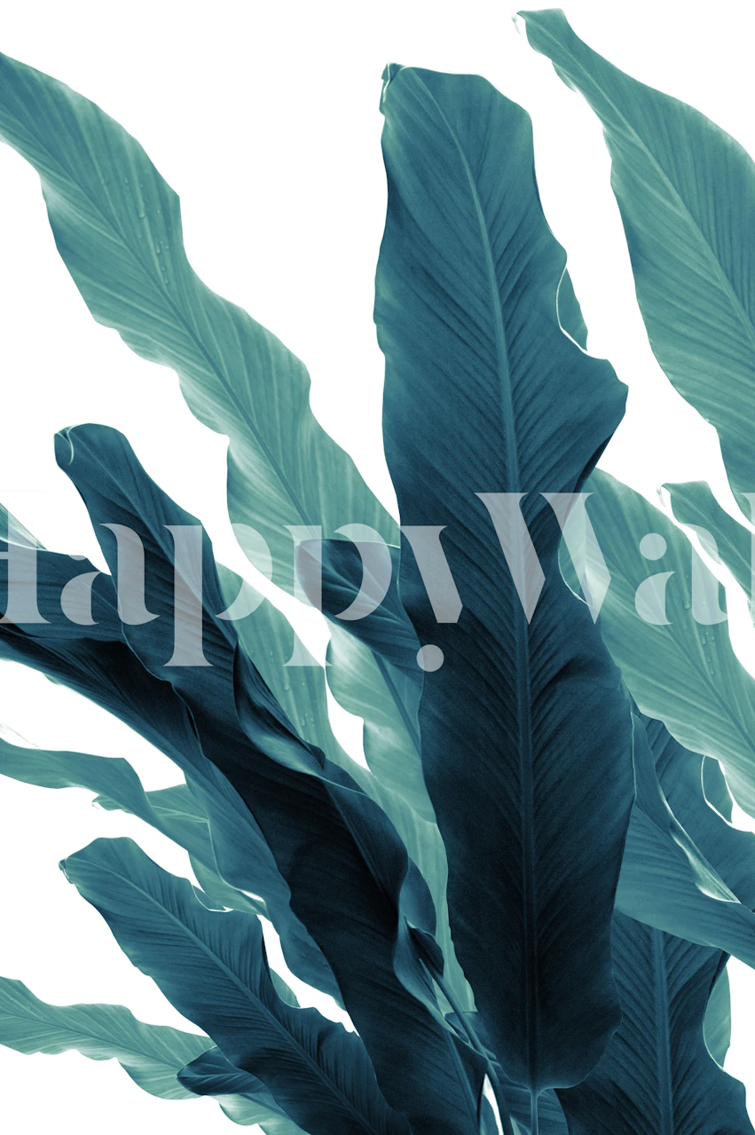 Banana Leaves Jungle tapetti sisätilassa