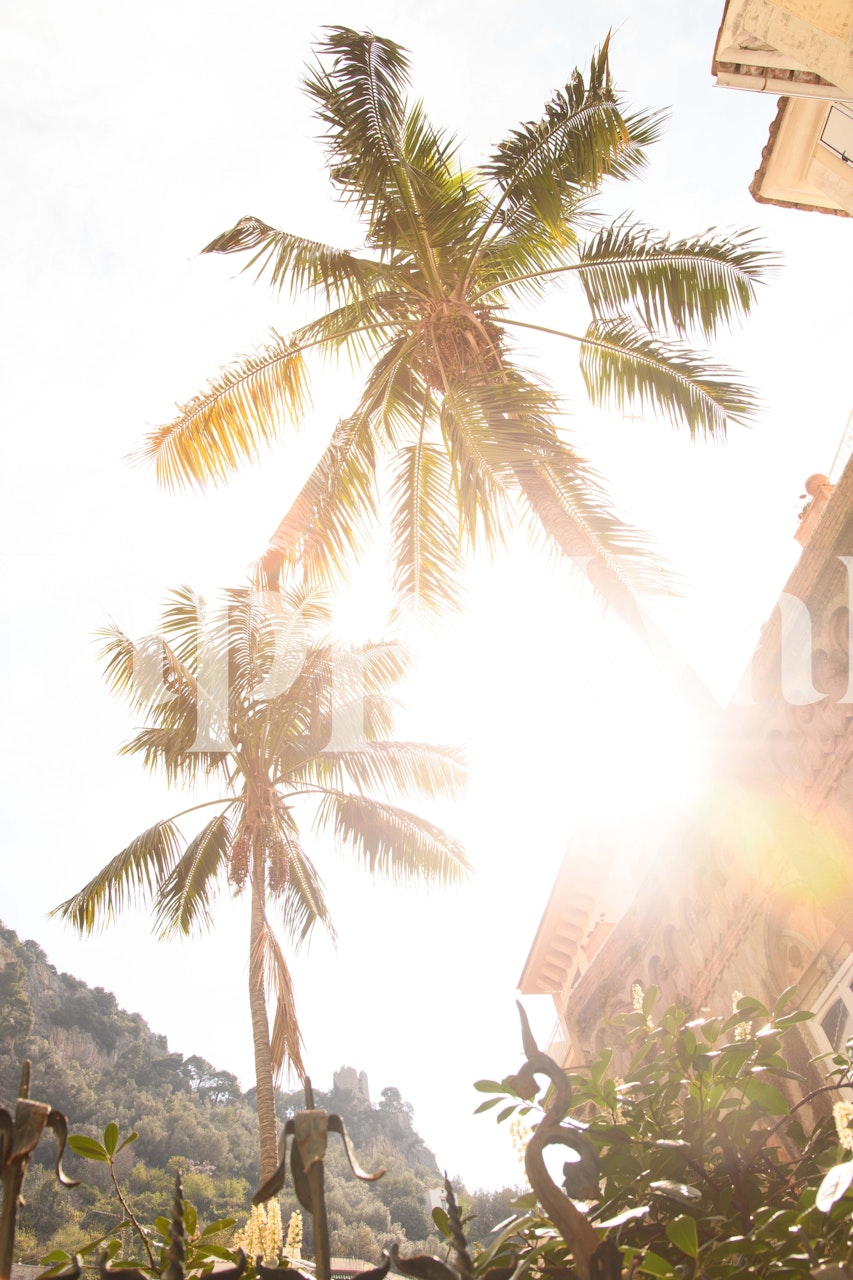 Amalfi Palm Dream muurschildering met zonsopgang en palmbomen