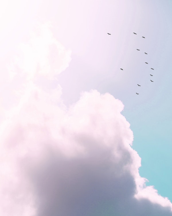 Pastel Cloudy Sky and Birds