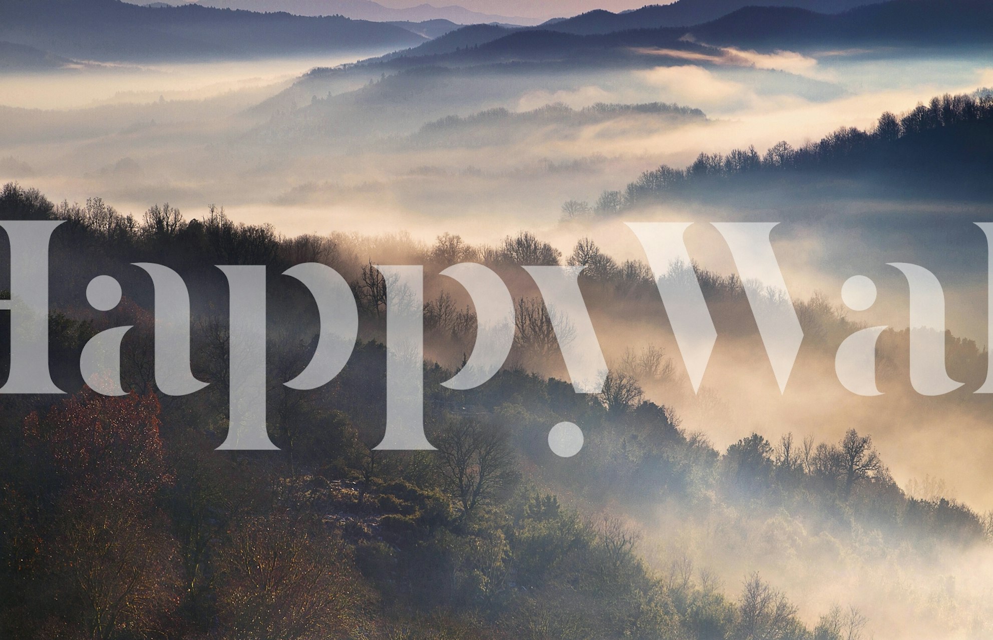 Misty mountain landscape with fog and trees wallpaper