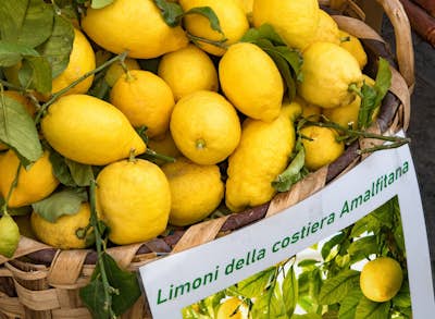 Τοιχογραφία