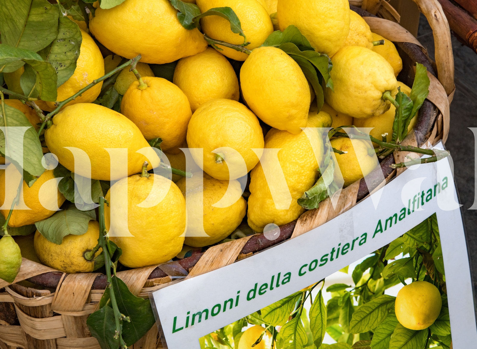 Amalfi Lemon Dream 3 Wallpaper | Happywall