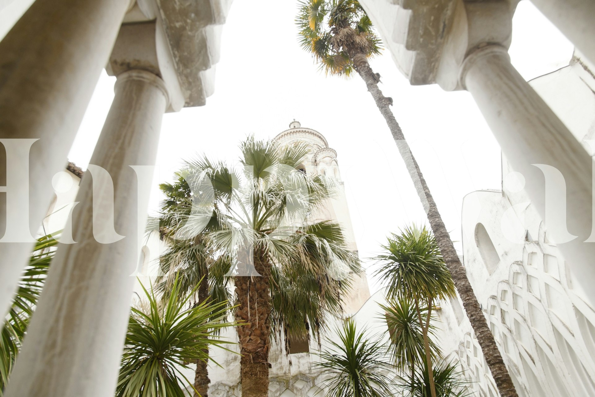 Duomo di Amalfi Garden wall mural with lush palm trees and Italian architecture