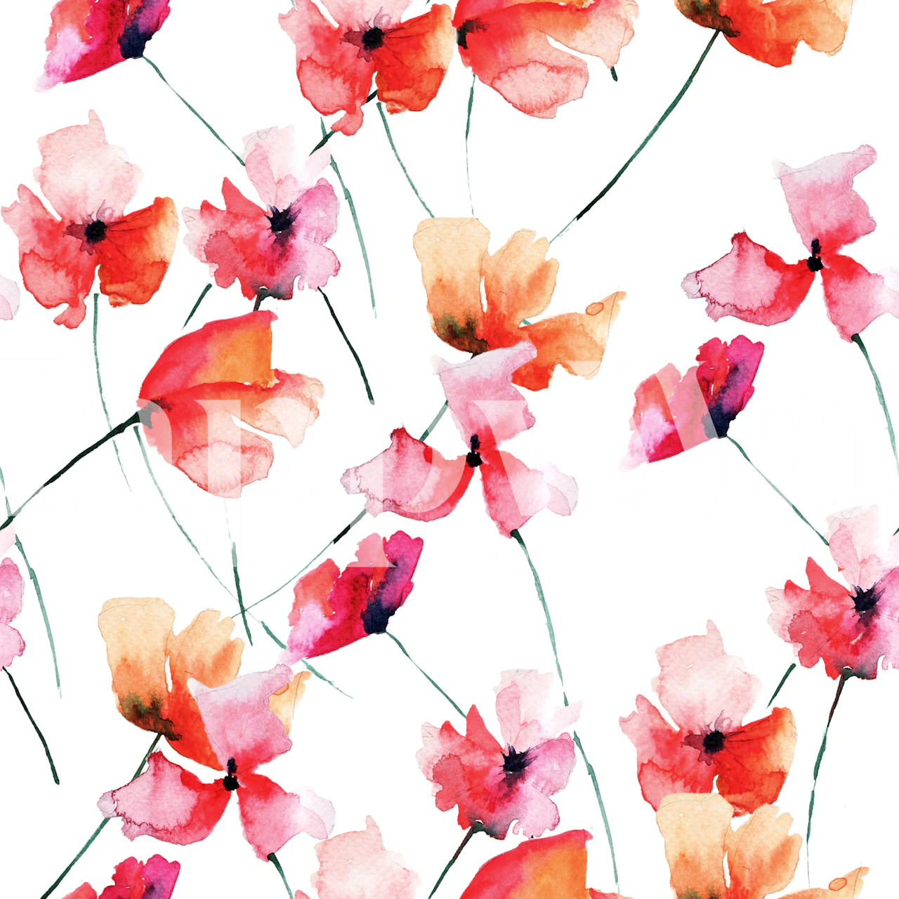 Pink watercolor flowers on white background wallpaper