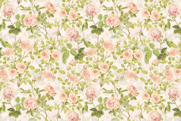 Redoute Roses Garden 7