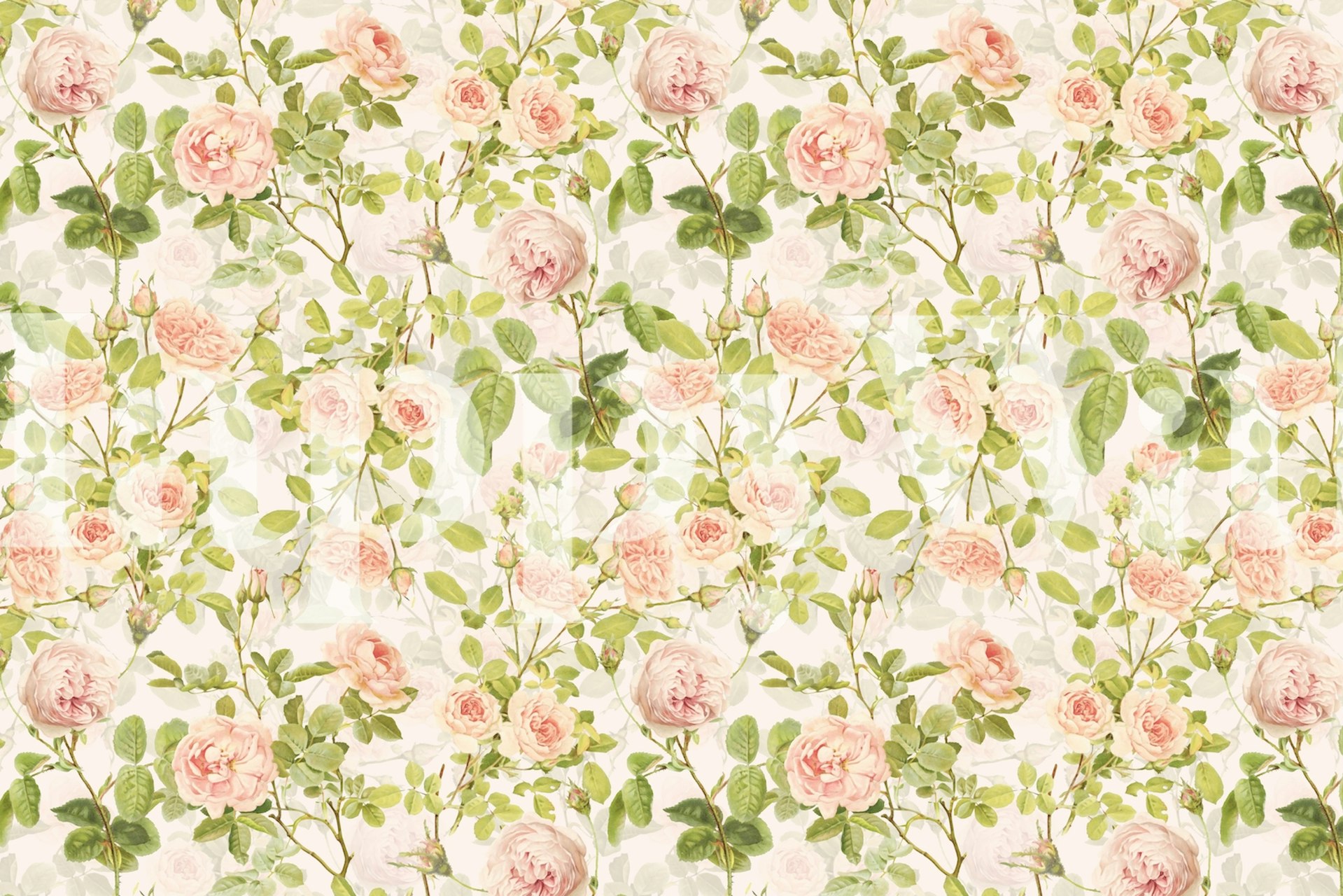 Vintage-style Redoute Roses Garden wall mural with pink and cream roses