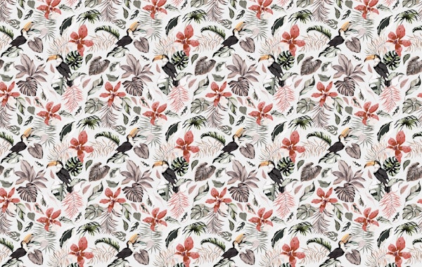 Toucans in the jungle DPJ