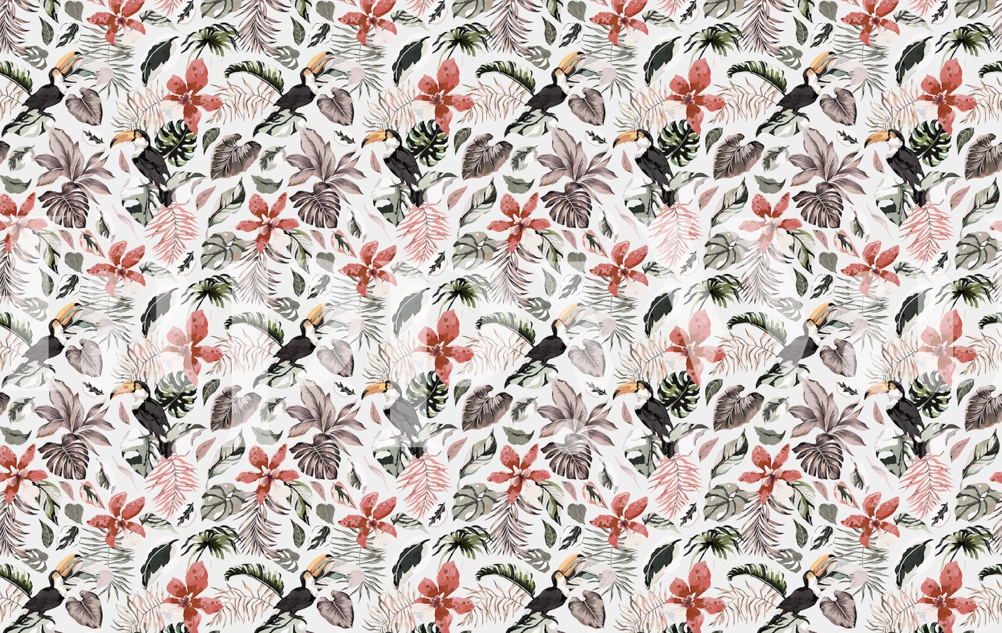 Tropical toucans wallpaper in a room