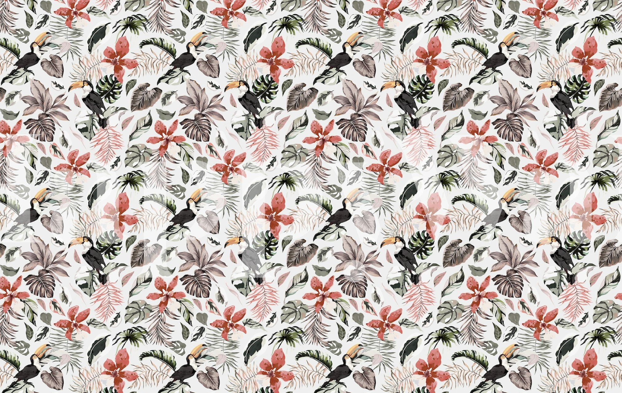 Tropical toucans wallpaper in a room