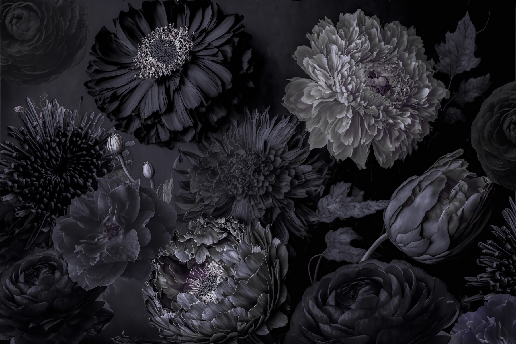 Dark Grey Moody Flowers Wallpaper - Buy Online | Happywall