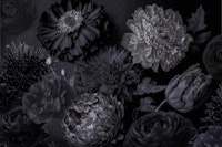 Dark Grey Moody Flowers tapeta