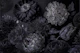 Dark Grey Moody Flowers