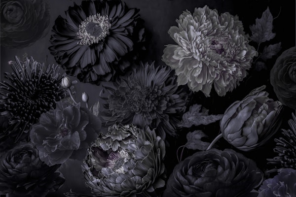 Dark Grey Moody Flowers