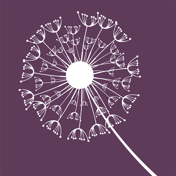 Dark Purple Dandelion Flower