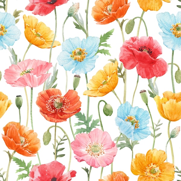 Happy poppies
