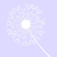 Pastel Violet Dandelion Flower tapete