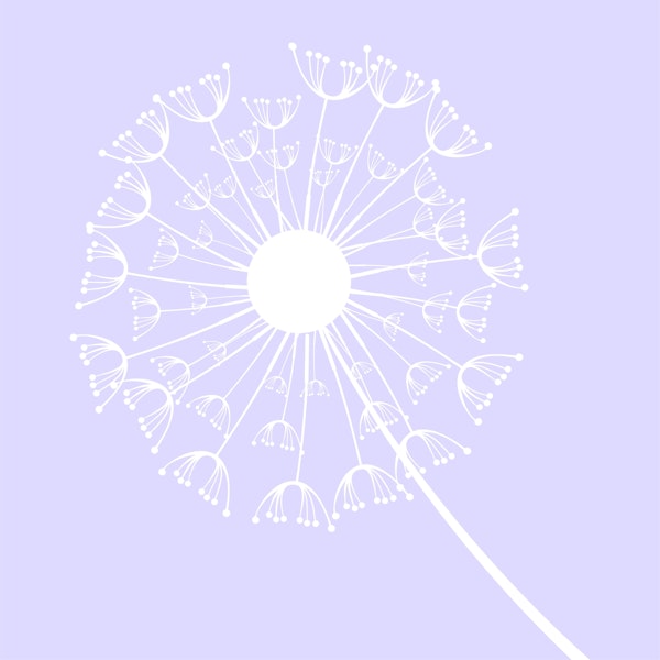 Pastel Violet Dandelion Flower