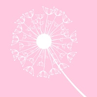 Pastel Pink Dandelion Flower tapete