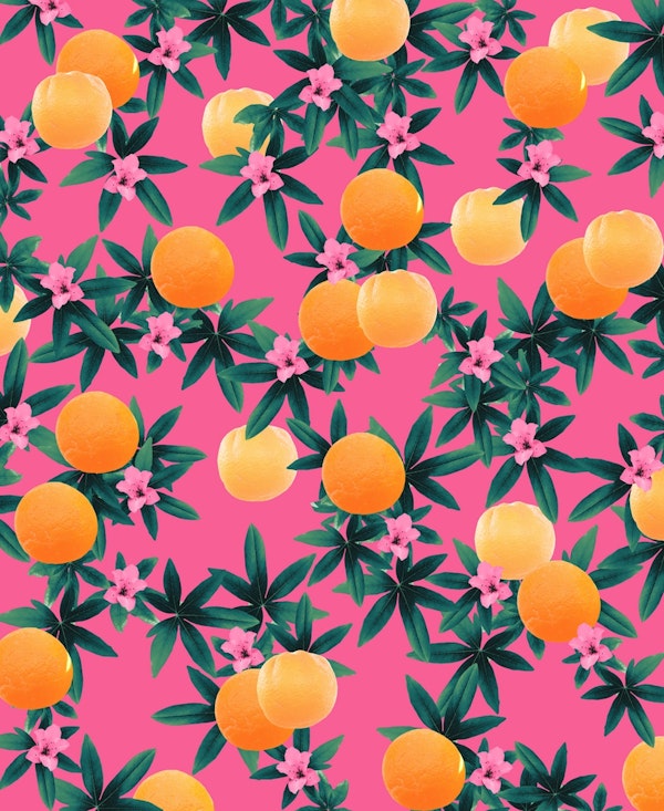 Orange Twist Flower Vibes 1