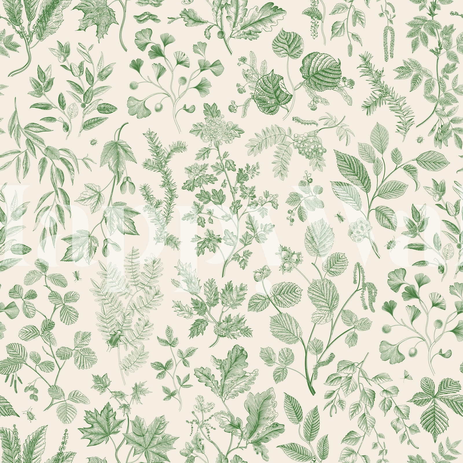 Leafy Green Wallpaper | Buy Nature Inspired Wallpapers - Happywall