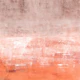 soft coral