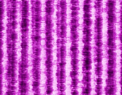 Τοιχογραφία