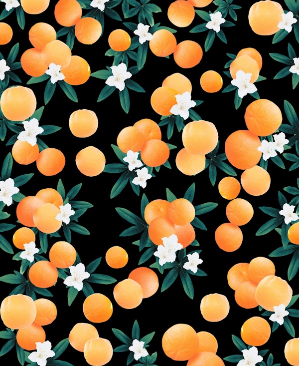 Orange Twist Flower Night1