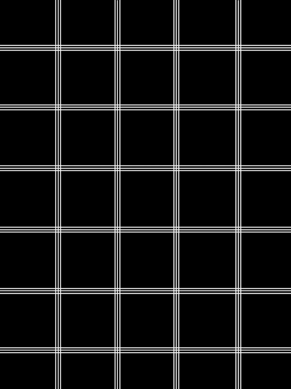 Minimal Black White Grid 2