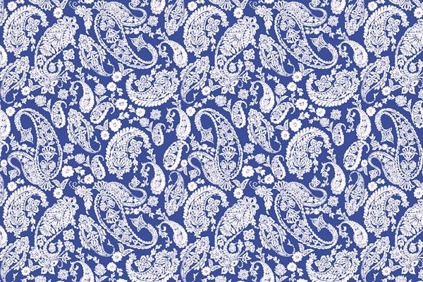 Monochromatic garden paisley R