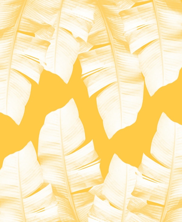 Yellow Banana Leaves 1