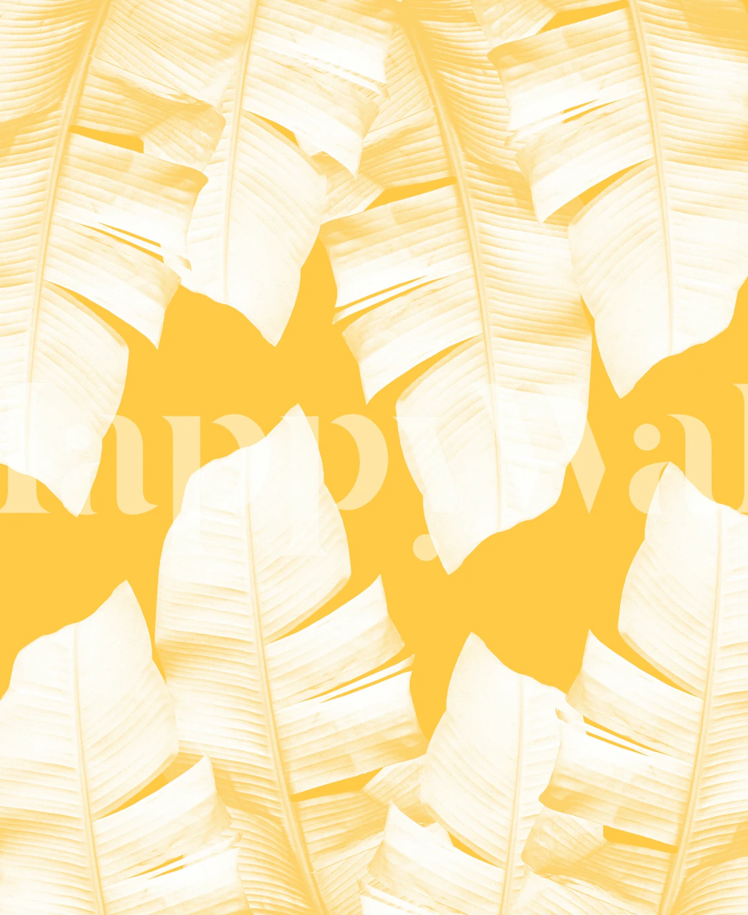 Tropical banana leaves in white on bright yellow wallpaper