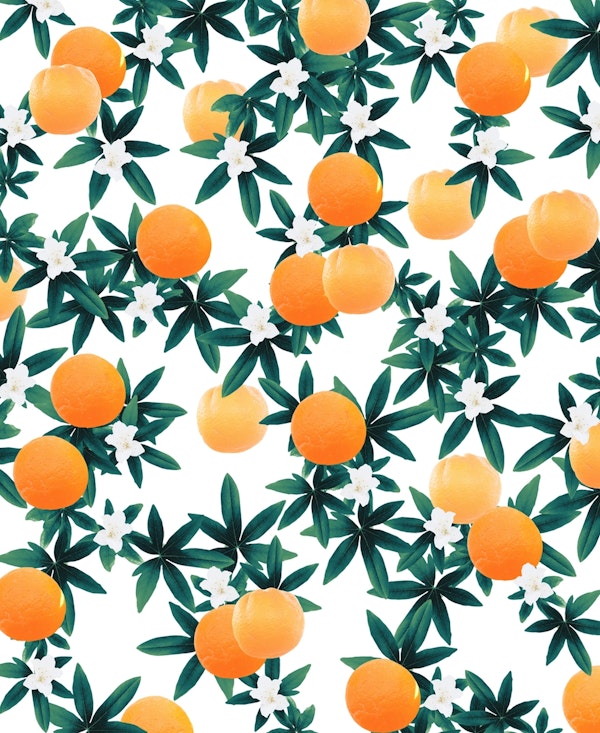 Orange Twist Flower Vibes 2