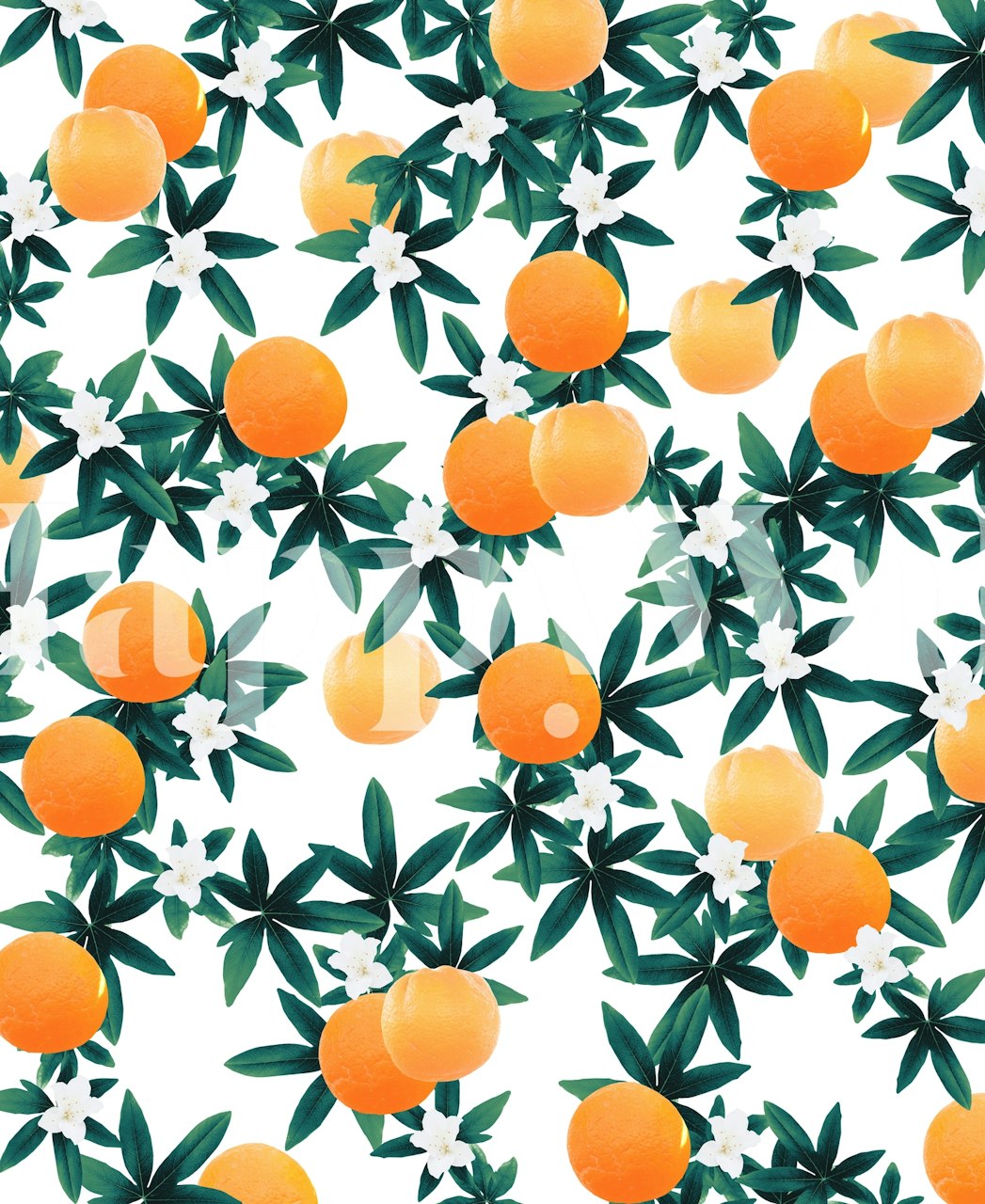 Orange Twist Flower Vibes 2 wallpaper in a room