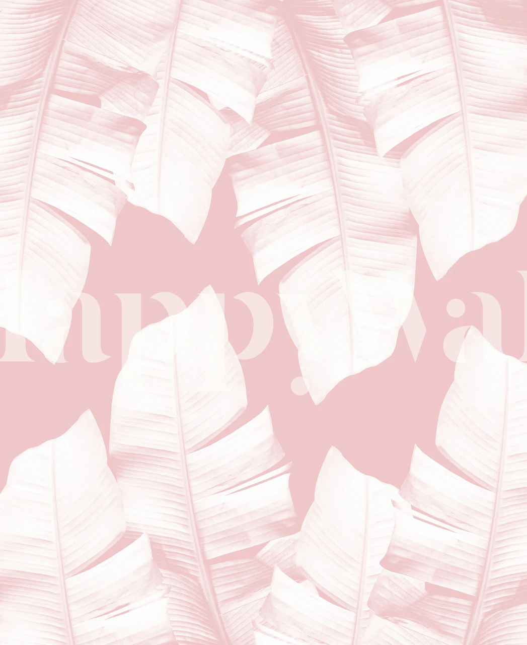 Zartrosa Bananenblatt-Muster auf Wandbild für die Inneneinrichtung