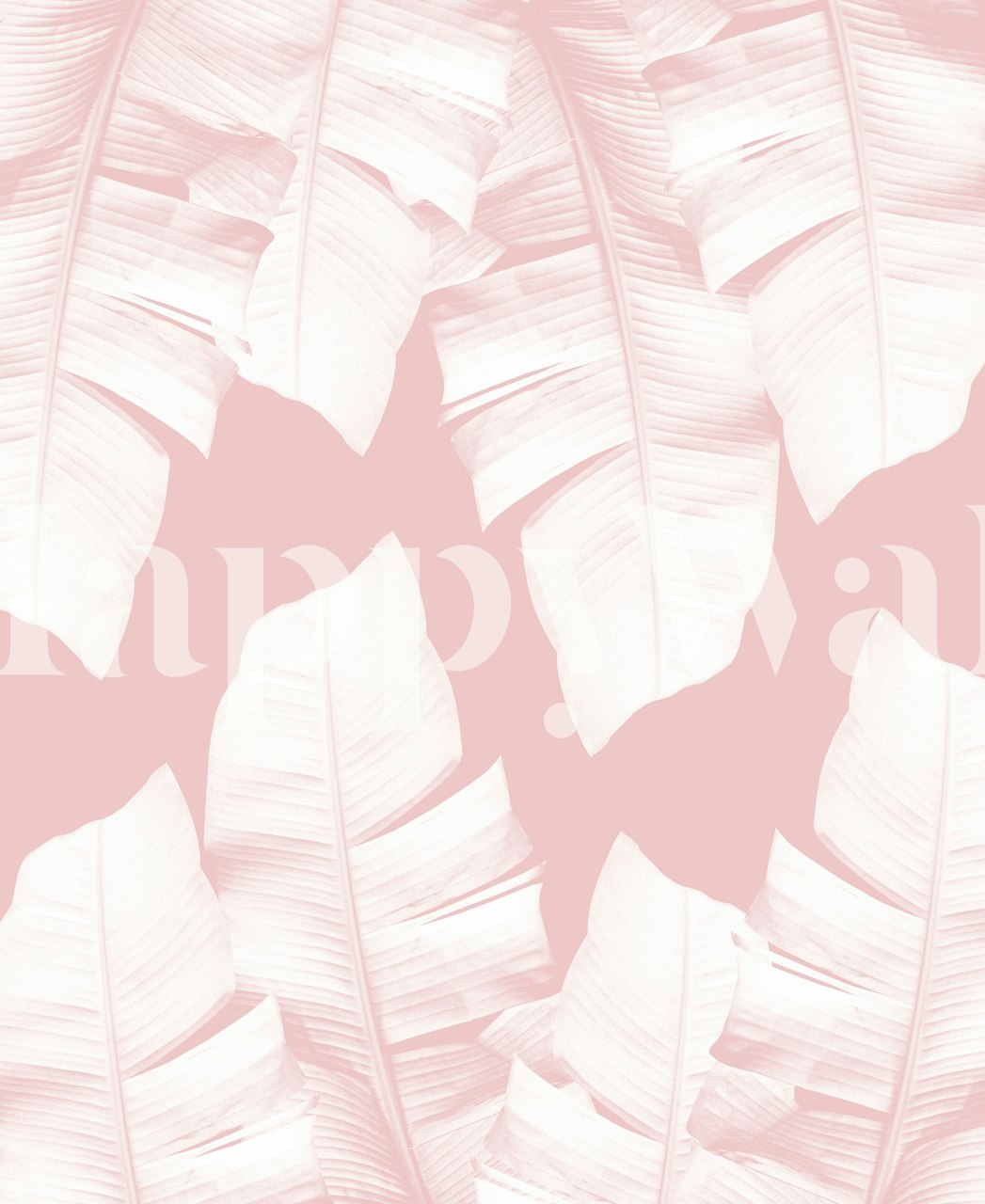 Zartrosa Bananenblatt-Muster auf Wandbild für die Inneneinrichtung