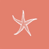 Rust Orange White Sea Star ταπετσαρία