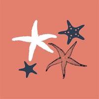 Sienna Orange Sea Stars wallpaper