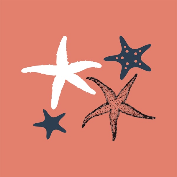 Sienna Orange Sea Stars