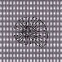 Graphite Polka dot Seashell wallpaper