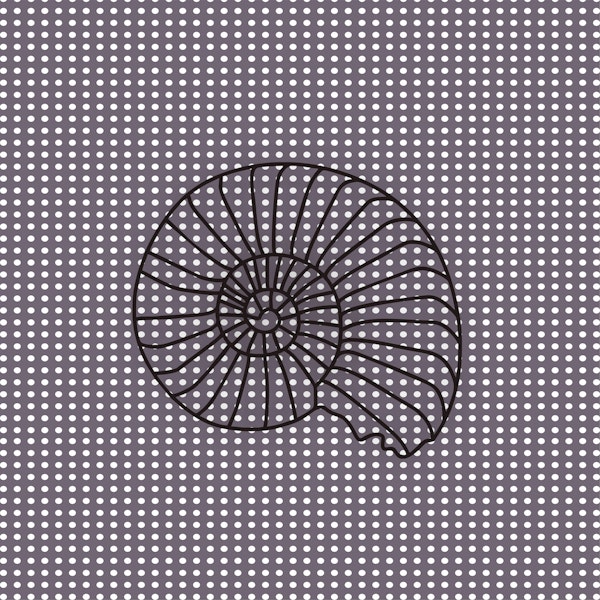 Graphite Polka dot Seashell