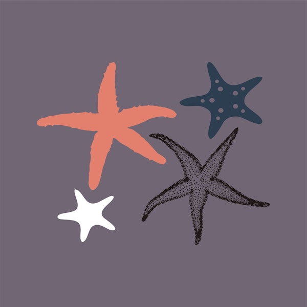 Plum Sea Star Pattern