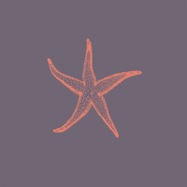 Dark Grey Orange Sea Star