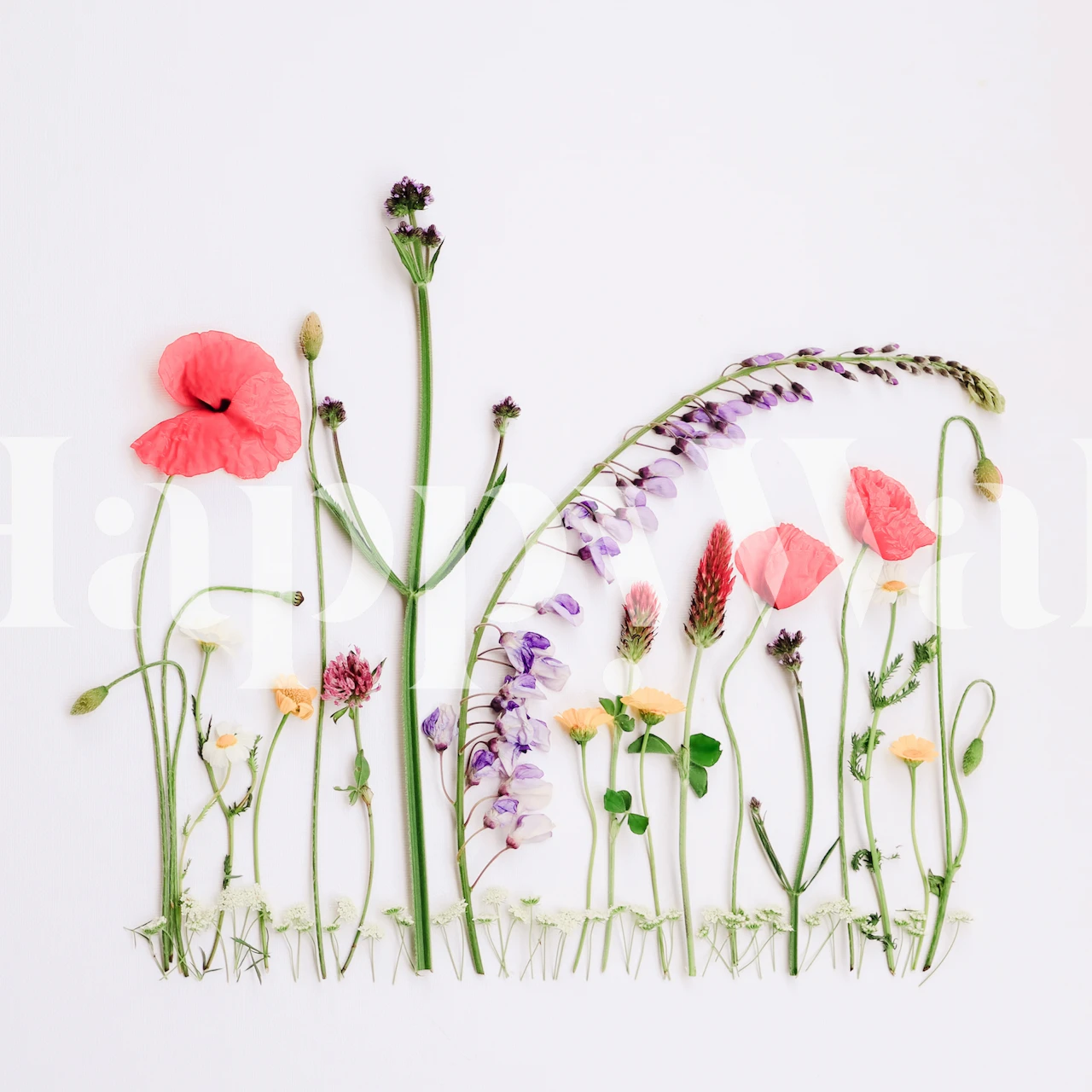 Pink flowers with green stems on white background wallpaper