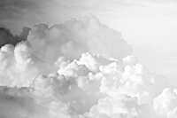 Cotton Clouds Black and White tapete
