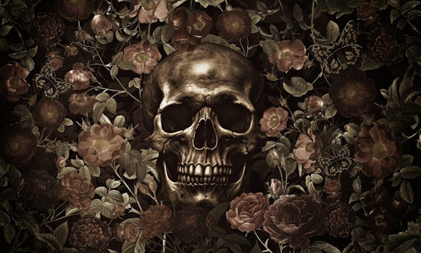 Baroque  Skull And Roses Night Garden
