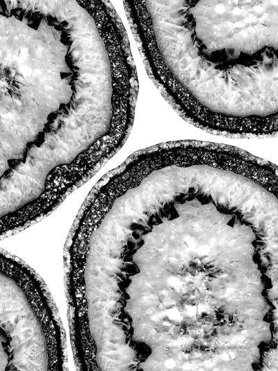 Τοιχογραφία