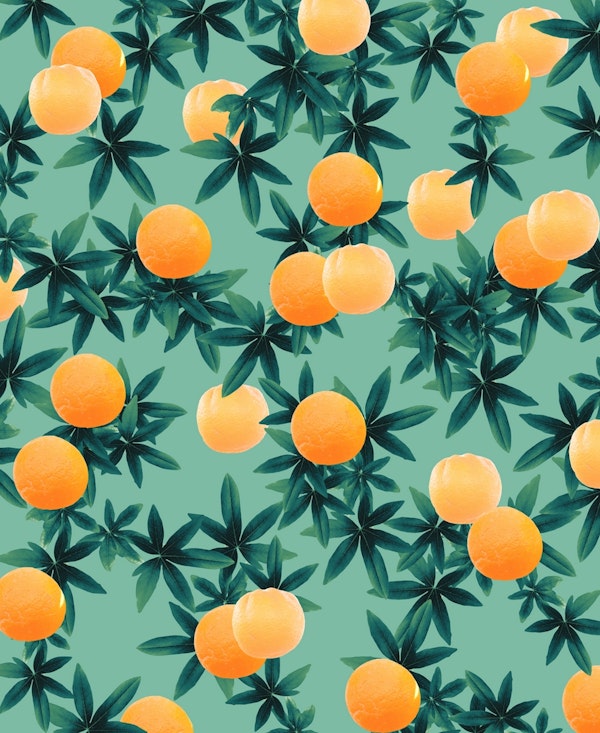 Orange Twist Vibes 1