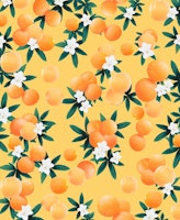 Orange Twist Flower 3 tapete