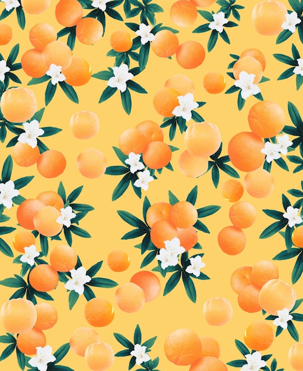 Orange Twist Flower 3