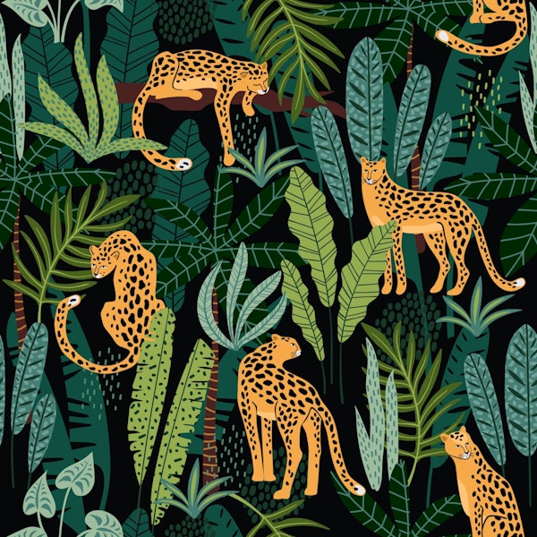 Leopards in jungle